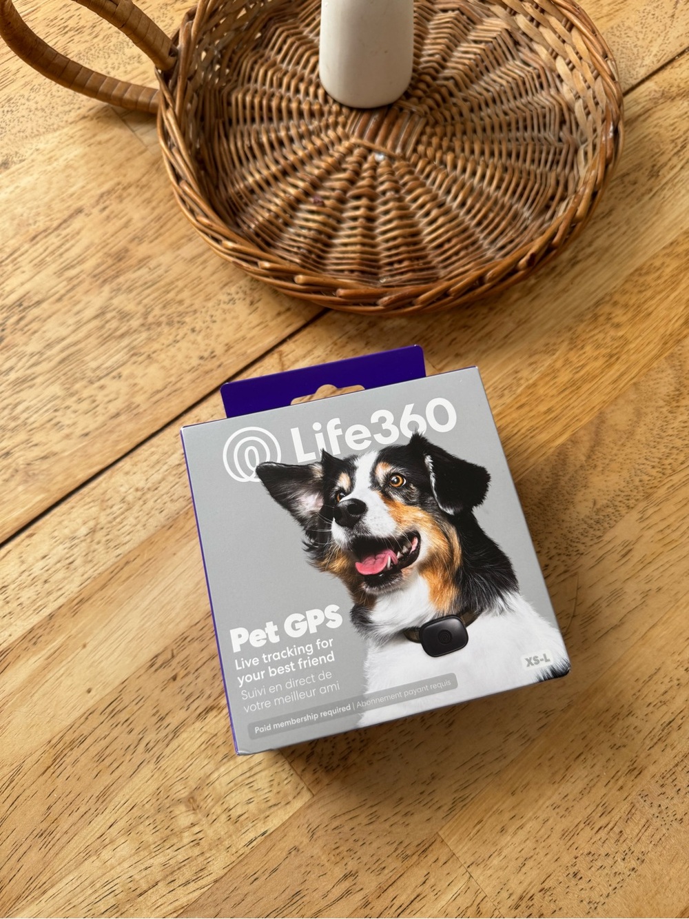 Life 360 Pet GPS in Black